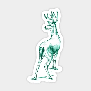 Curious Deer (emerald) Sticker